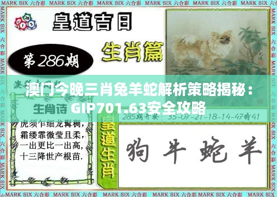 澳门今晚三肖兔羊蛇解析策略揭秘：GIP701.63安全攻略