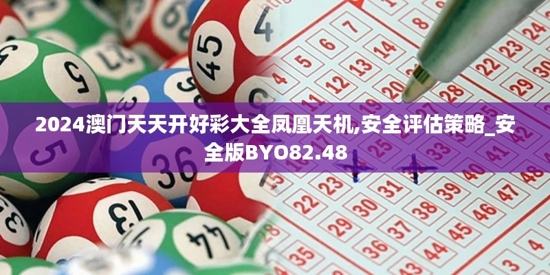 2024澳门天天开好彩大全凤凰天机,安全评估策略_安全版BYO82.48