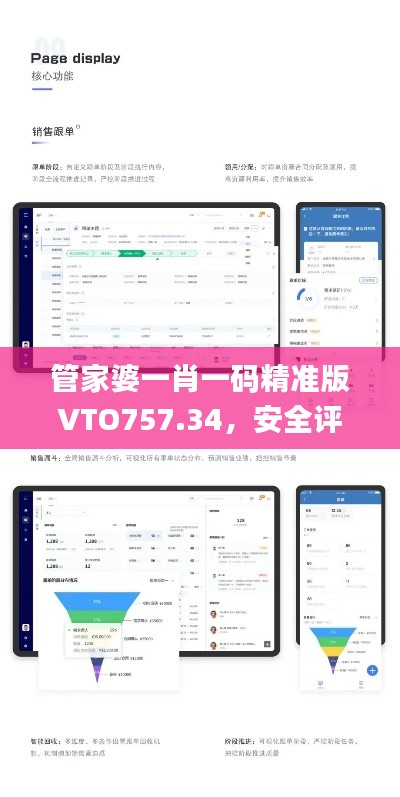 管家婆一肖一码精准版VTO757.34，安全评估策略方案_尊享付费版