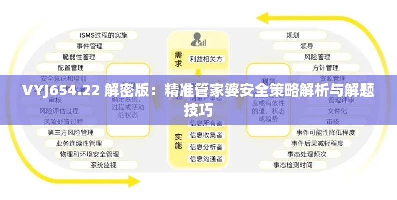 VYJ654.22 解密版：精准管家婆安全策略解析与解题技巧