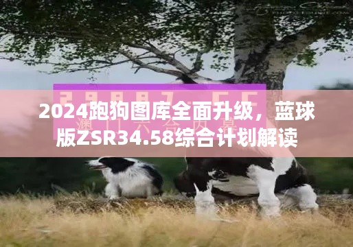 2024跑狗图库全面升级，蓝球版ZSR34.58综合计划解读