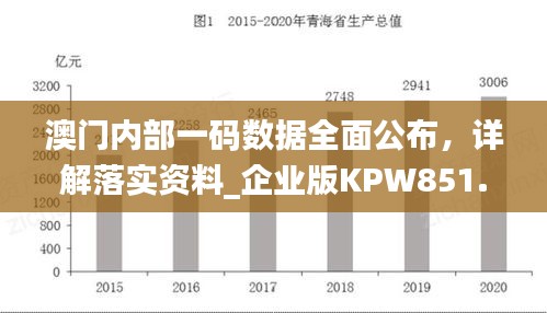 澳门内部一码数据全面公布，详解落实资料_企业版KPW851.07