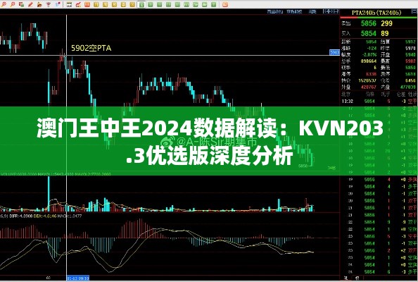 澳门王中王2024数据解读：KVN203.3优选版深度分析