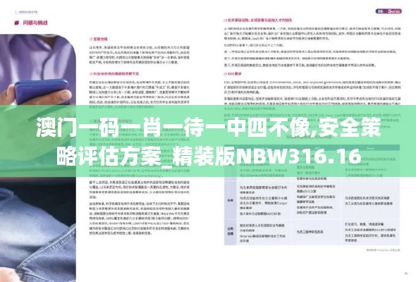 澳门一码一肖一待一中四不像,安全策略评估方案_精装版NBW316.16