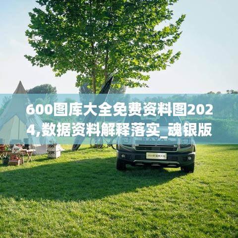 600图库大全免费资料图2024,数据资料解释落实_魂银版YCH825.3