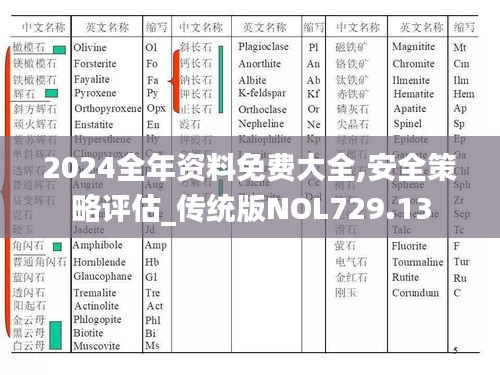 2024全年资料免费大全,安全策略评估_传统版NOL729.13