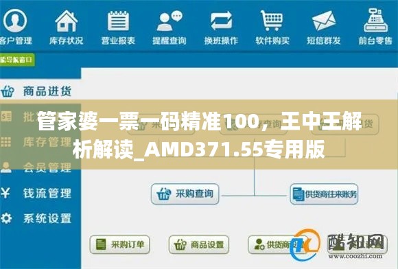 管家婆一票一码精准100，王中王解析解读_AMD371.55专用版