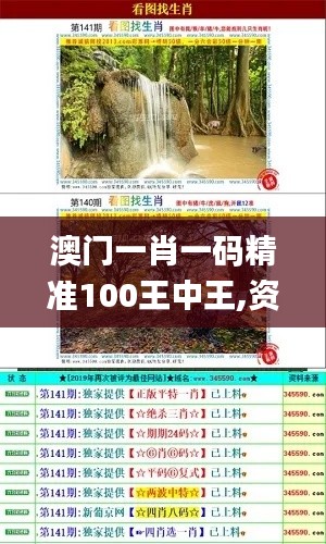 澳门一肖一码精准100王中王,资料汇编权威解读_魔力版WQE666.32