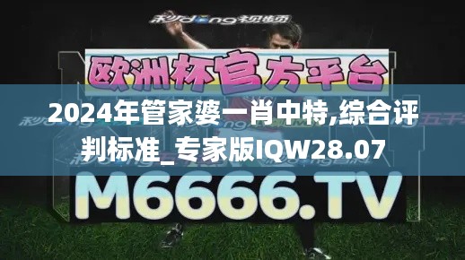 2024年管家婆一肖中特,综合评判标准_专家版IQW28.07