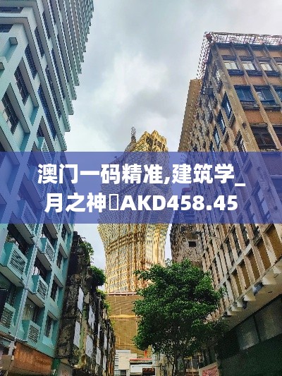 澳门一码精准,建筑学_月之神衹AKD458.45