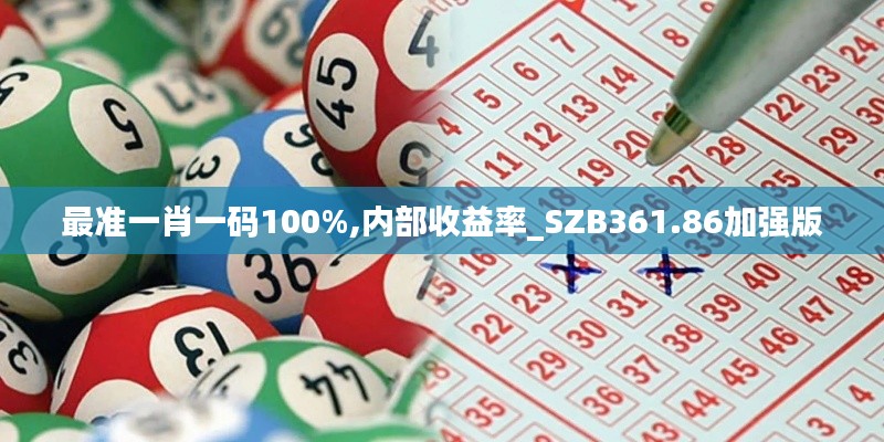 最准一肖一码100%,内部收益率_SZB361.86加强版