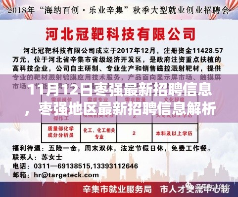 枣强地区最新招聘信息解析及求职指南（11月12日版）