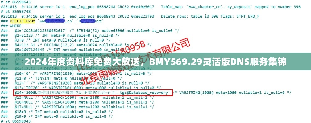 2024年度资料库免费大放送，BMY569.29灵活版DNS服务集锦