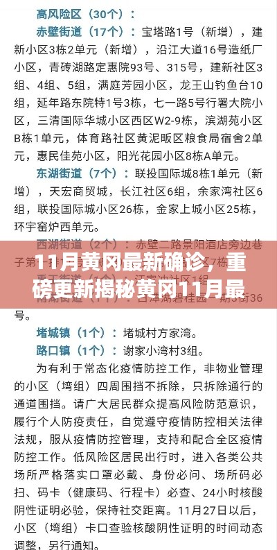 揭秘黄冈11月最新确诊情况，深度解析防疫现状，重要信息一览无余