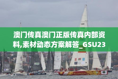 澳门传真澳门正版传真内部资料,素材动态方案解答_GSU236灵王境