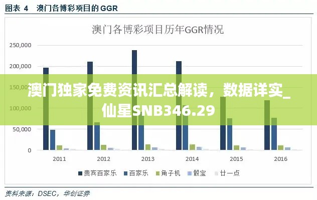 澳门独家免费资讯汇总解读，数据详实_仙星SNB346.29