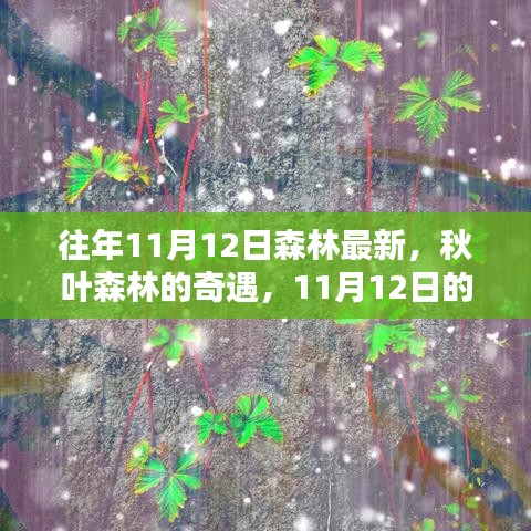 走马观花 第23页