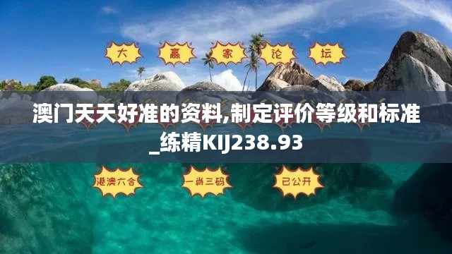 澳门天天好准的资料,制定评价等级和标准_练精KIJ238.93