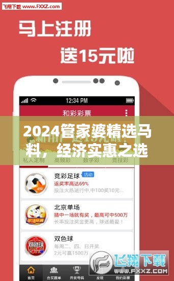 2024管家婆精选马料，经济实惠之选——NBO943.87超凡推荐