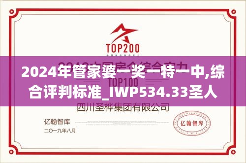 2024年管家婆一奖一特一中,综合评判标准_IWP534.33圣人