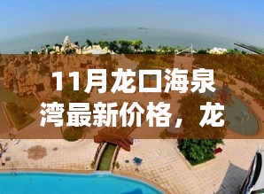 11月龙口海泉湾最新价格动态，查询指南与最新动态掌握