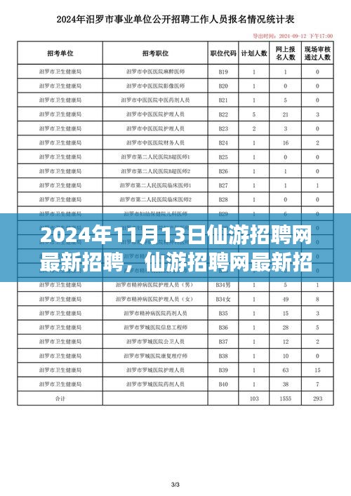 2024年11月13日仙游招聘网最新动态，聚焦人才市场热点