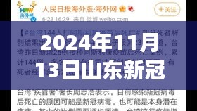 山东新冠疫情最新报告，多维视角下的深度分析（2024年11月13日）