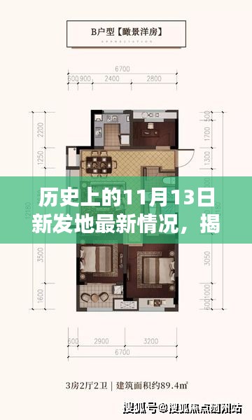 揭秘历史上的11月13日新发地最新情况，全面更新的步骤指南