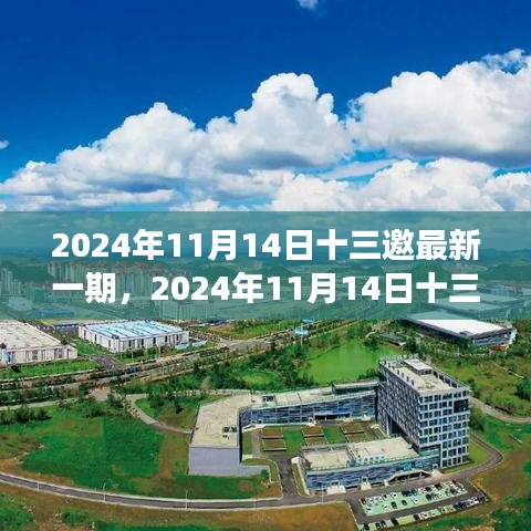 聚焦观点之争，深度解析2024年最新一期十三邀