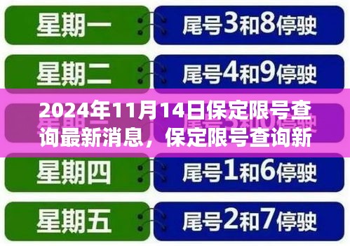 保定限号查询新纪元，科技引领绿色出行，APP升级助力绿色出行