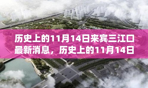 历史上的11月14日，来宾三江口最新发展动态揭秘