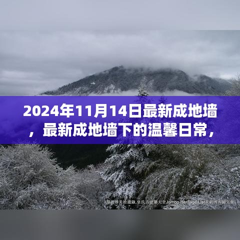 最新成地墙下的温馨日常，友谊与爱共筑美好家园的2024年1月记事