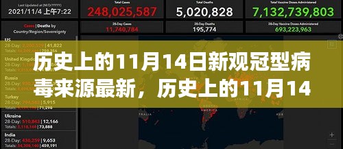 历史上的11月14日，新观冠型病毒来源的最新解读与解读报告揭秘