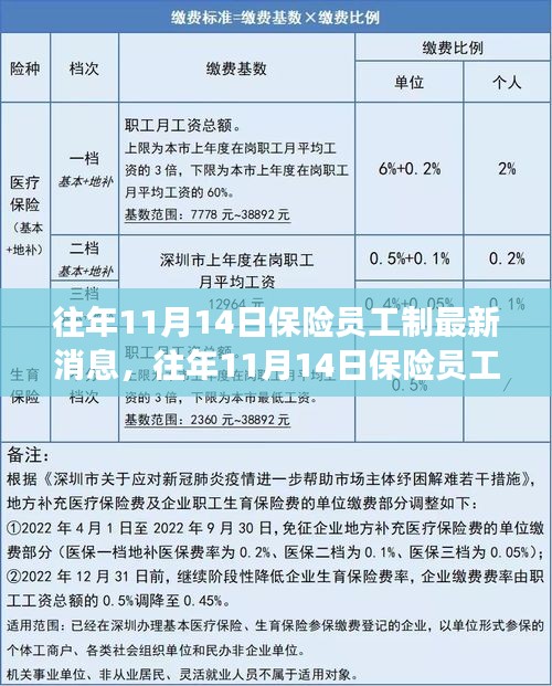 三大要点深度解读，往年11月14日保险员工制最新消息与更新解读