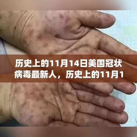 花开无言 第17页