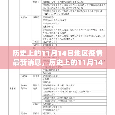 历史上的11月14日全球疫情进展与地区动态分析，最新消息及进展概述