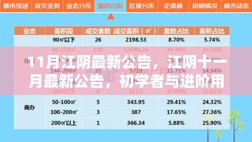 江阴十一月最新公告发布，初学者与进阶用户指南详解