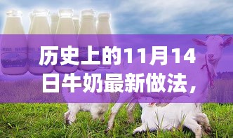 历史上的11月14日，牛奶最新做法演变之旅探索