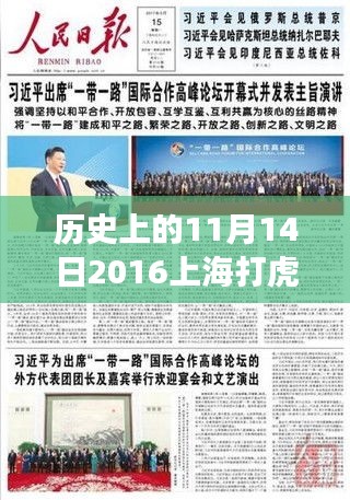 历史上的11月14日，聚焦上海打虎事件及竞品深度解析的最新动态与回顾