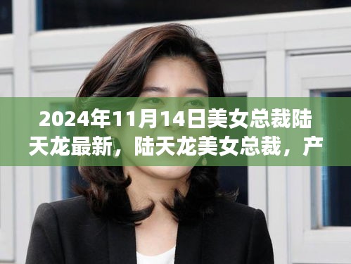 陆天龙美女总裁产品深度解析与全面测评，特性与使用体验揭秘（2024年最新）