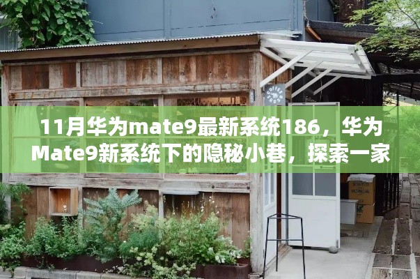 华为Mate9最新系统探索，隐秘小巷的特色小店