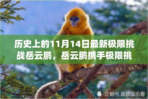 岳云鹏揭秘科技新纪元，极限挑战携手超燃高科技产品震撼登场（11月14日）