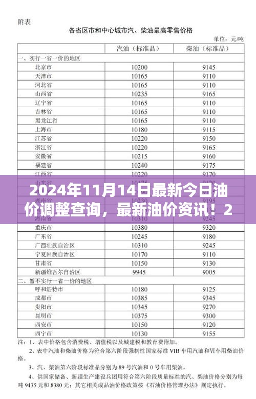 2024年11月14日油价调整最新资讯，油价调整查询与解析