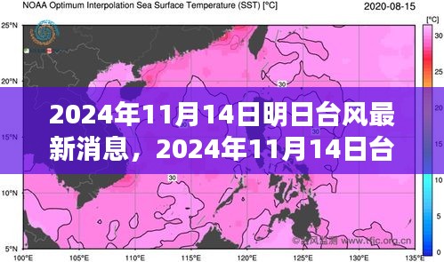 台风最新消息深度评测，特性、体验、竞品对比与用户分析（2024年台风动态）