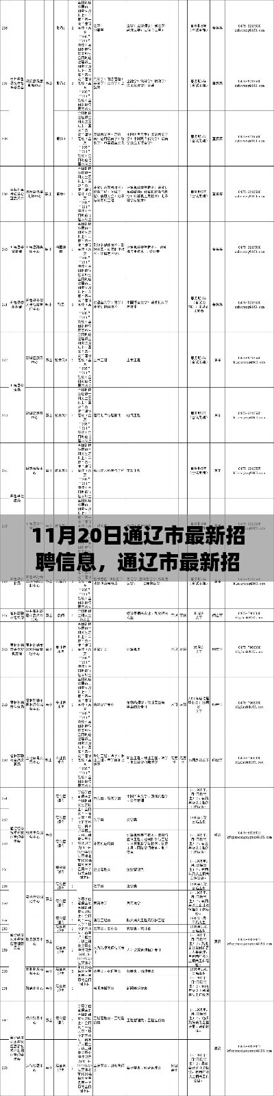 通辽市最新招聘信息概览，职场人的福音（11月20日更新）