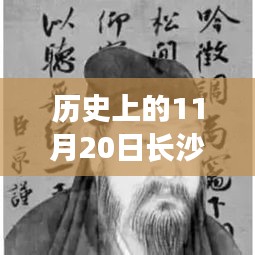 历史上的11月20日长沙才子嘉都房价变迁及其影响