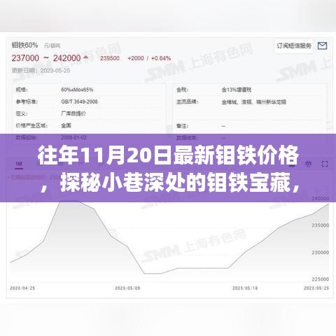 探秘小巷深处的钼铁宝藏，十一月二十日最新钼铁价格揭秘与行情分析