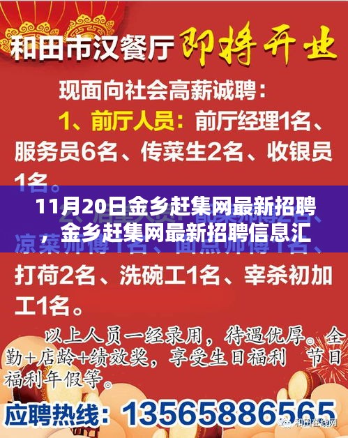 11月20日金乡赶集网最新招聘汇总，热点岗位解析与招聘信息