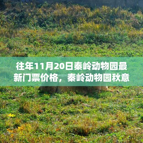 秦岭动物园秋意浓时启幕，探寻自然美景之旅与最新门票价格发布！