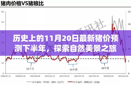 历史上的11月20日猪价预测与心灵宁静寻觅之旅，自然美景探索